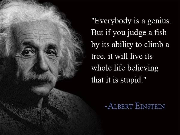 One of Einstein's greatest quotes. Image credit: QuotesEverlasting. Modified by SDR, CC 2.0