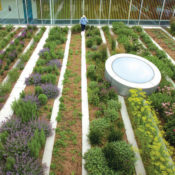 Top 4 Urban Agriculture Books for Landscape Architects