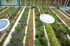 Top 4 Urban Agriculture Books for Landscape Architects