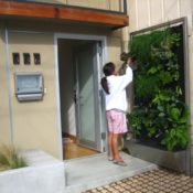 Vertical Garden System at the Screen House | San Francisco, CA