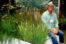 Interview with “Guru of Grasses” John Greenlee