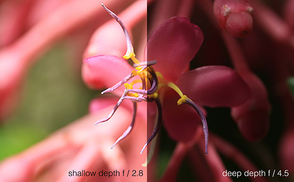 Revealing the difference that aperture changes do to lighting 