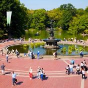 NYC Landscape Architecture Travel Series #7: Central Park