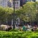 NYC Landscape Architecture Travel Series #6: Bryant Park