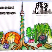 Urban Agriculture Series #6: Interview with Ran Goel – Fresh City Farms Founder