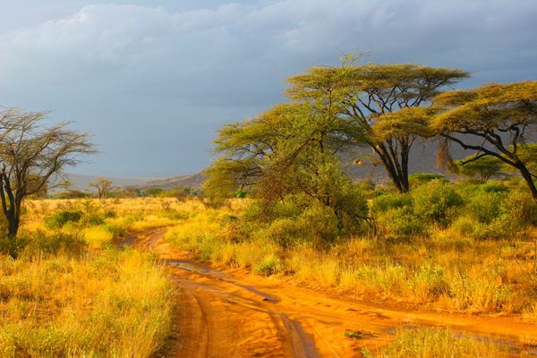 Landscape of Samburu before storm, Samburu, Kenya Stock Photo: Image ID: 86426845 Release Information: N/A Copyright: Piotr Gatlik