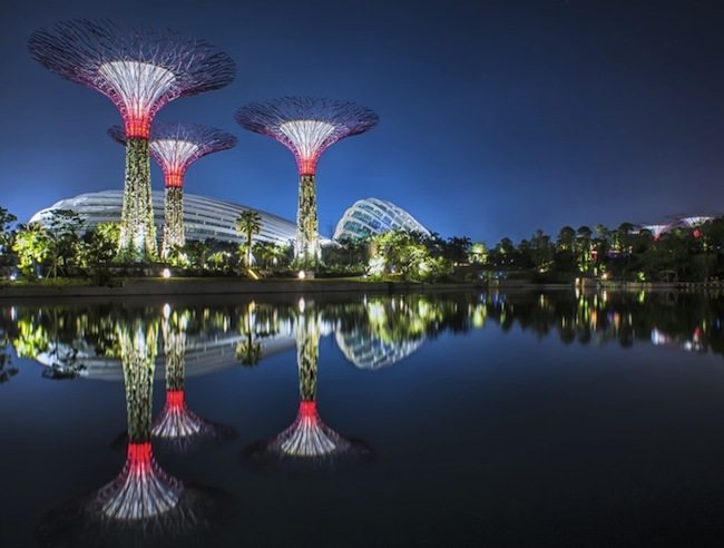 Filmtastic Fridays: Experience the Award-Winning Gardens by the Bay in Singapore