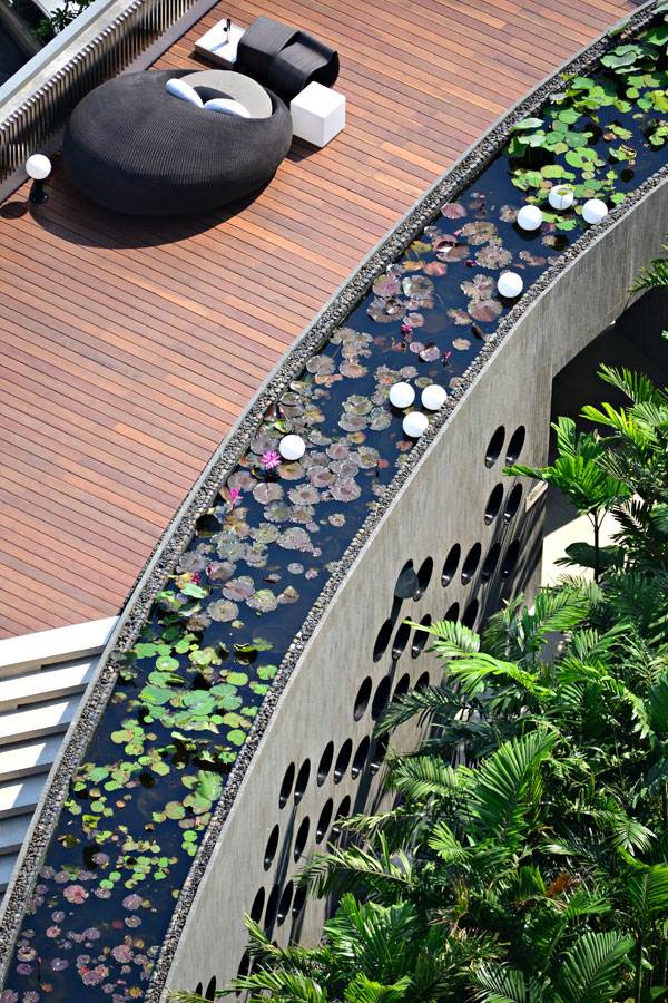 The Garden of Hilton Pattaya