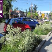 Green Stormwater Infrastructure & Streetscapes