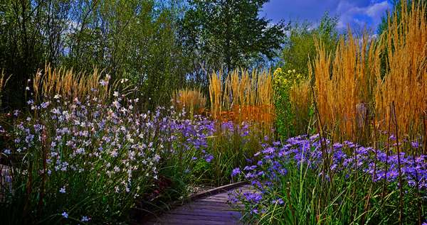 Names in planting design