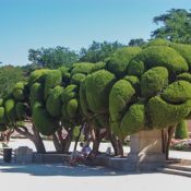 Spanish Landscape Architecture: Classical Gardens