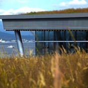 Filmtastic Fridays – Vancouver’s 6 Acre Living Roof