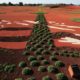 Filmtastic Fridays: Australia Announces Its First Festival of Landscape Architecture