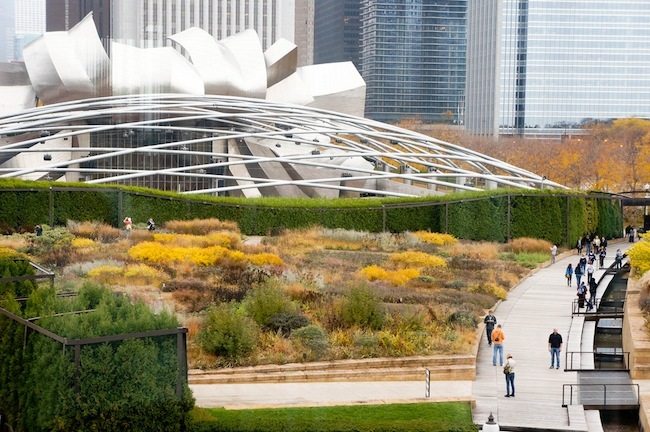 What is Landscape Architecture?