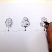 Hand Drawing Tutorial: How to Draw a Tree