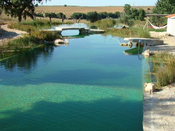 Natural-Swimming-Pools