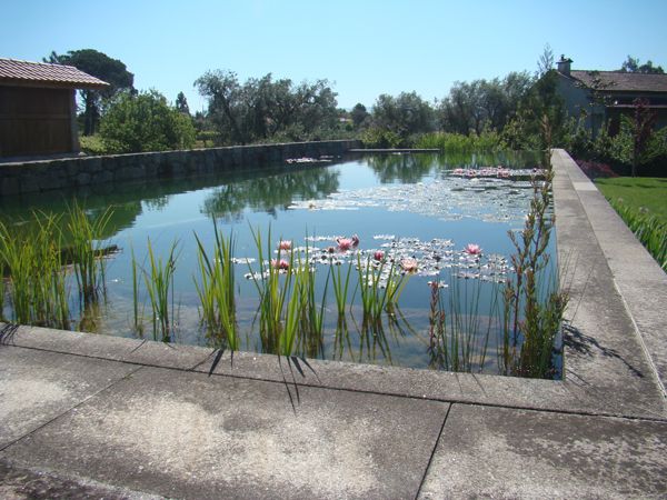 Natural-Swimming-Pools