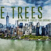 Filmtastic Fridays: The Trees – Growing a Forest for Ground Zero