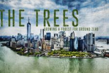 Filmtastic Fridays: The Trees – Growing a Forest for Ground Zero