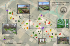The Tricky Business of Zoning for Urban Agriculture