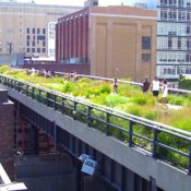 NYC’s High Line Park Celebrates 5th Anniversary