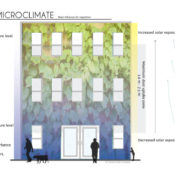 How Different Climates Affect the Growth of Vertical Gardens
