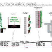A History of Vertical Gardens From Simple Vines to Hydroponic Systems