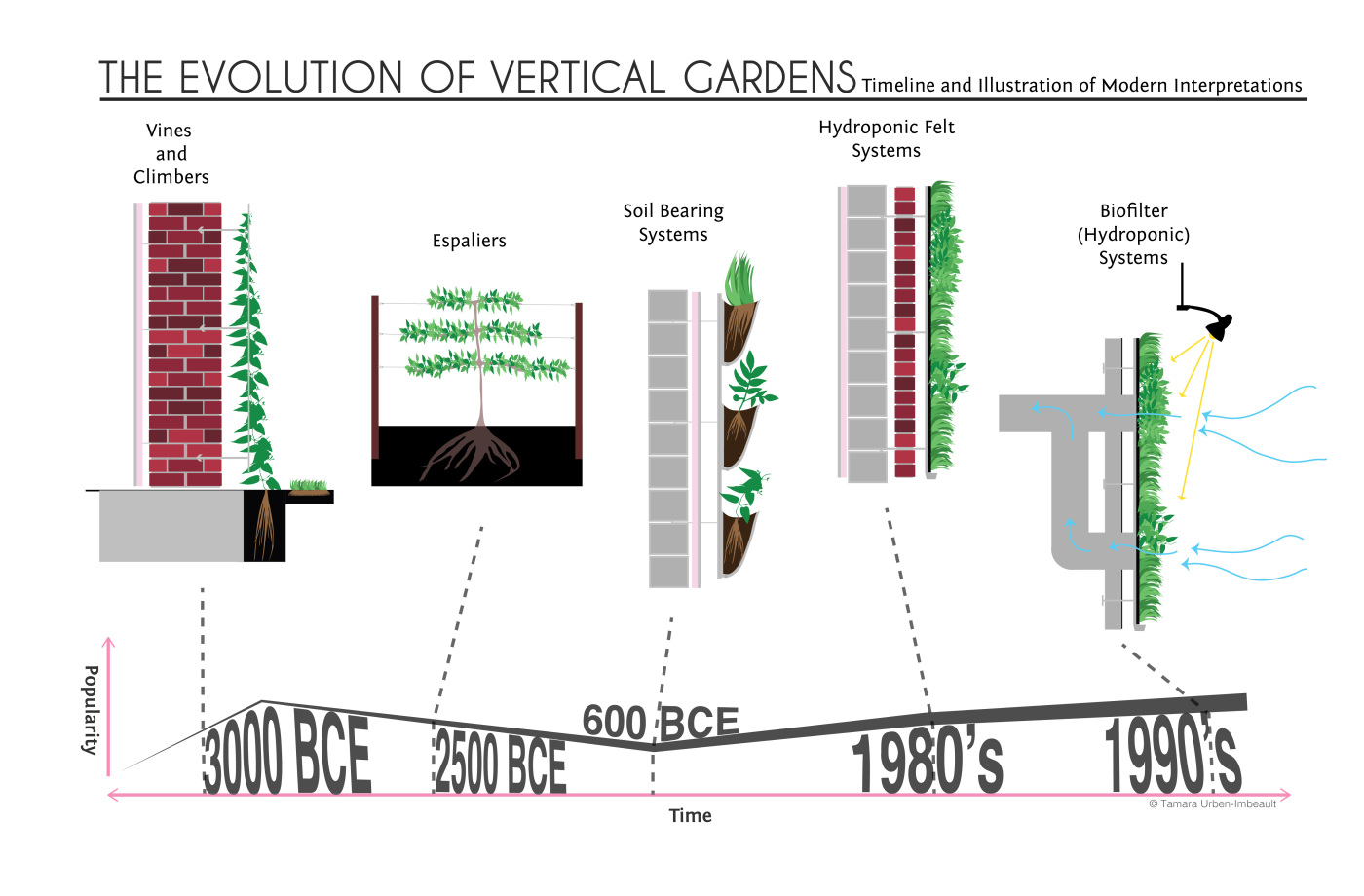 Maintenance Of Vertical Garden Diagram