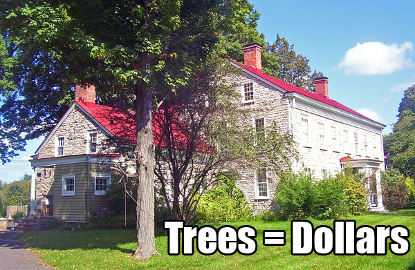 Increase the sale price of your house by planting trees outside it. Image: Jacob Ten Broeck Stone House, Kingston, NYCC BY-SA 3.0, by  Daniel Case
