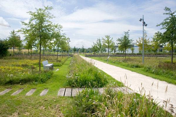 Landscape-Architecture - Commonground - Credit: Copyright 2014, Land Collective