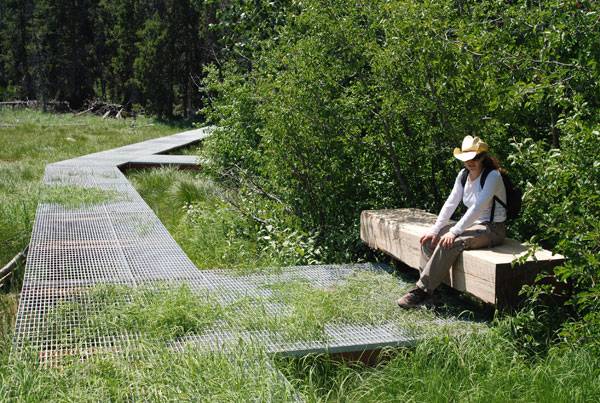 Laurance S Rockefeller Preserve. Credit: Hershberger Design