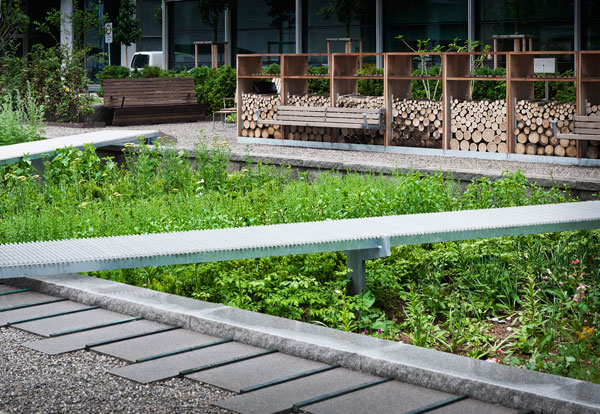 The Physic Garden. Photo credit: Thorbjörn Andersson 
