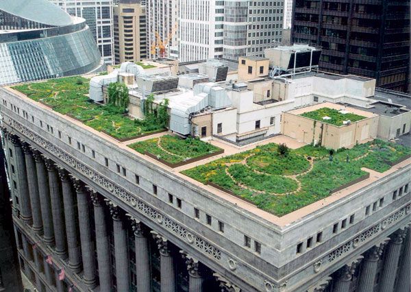 How The Chicago City Hall Green Roof is Greening the Concrete Jungle