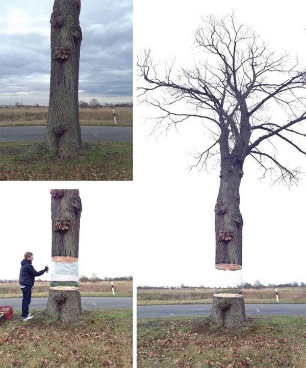 Land art - Invisible-tree