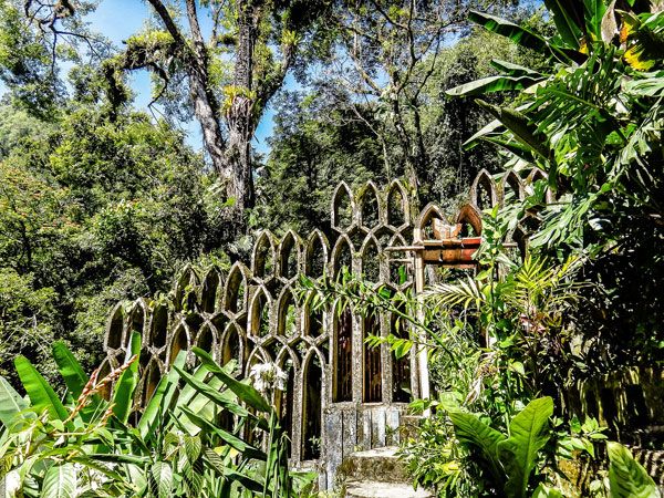 Xilitla Garden. Photo credit: Lucy Nieto