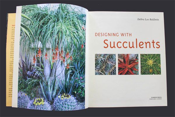 Designing with Succulents.