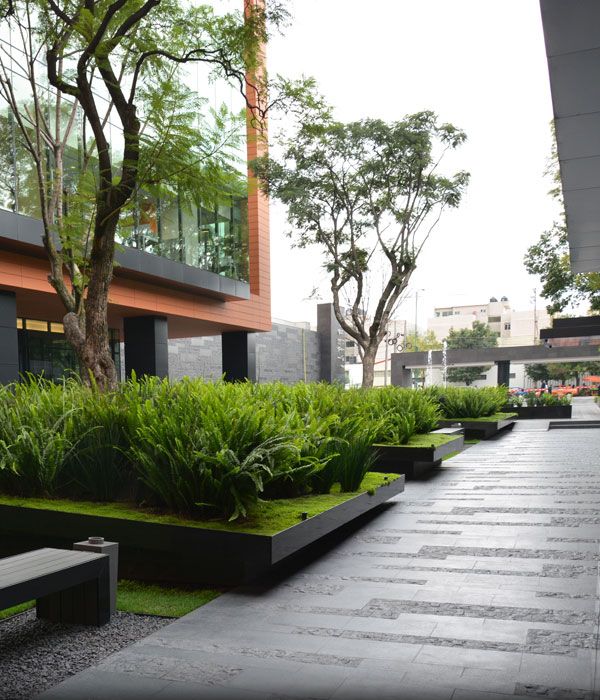 Coyoacán Corporate Campus