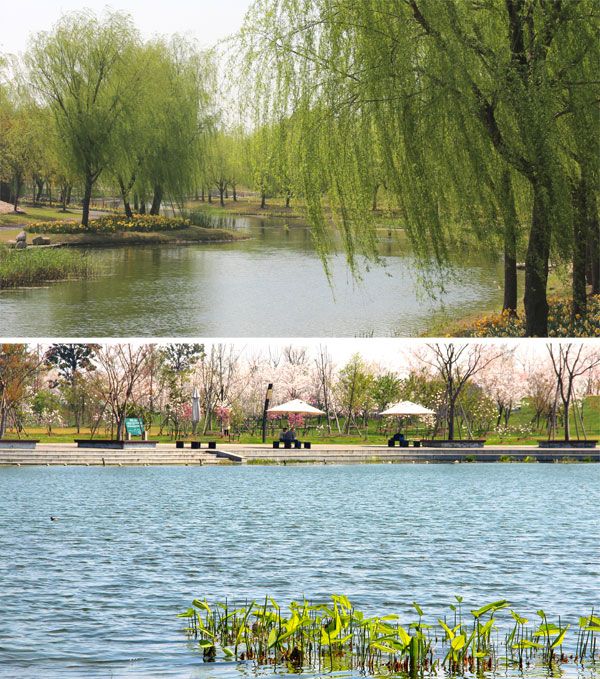 Chenshan Botanical Garden