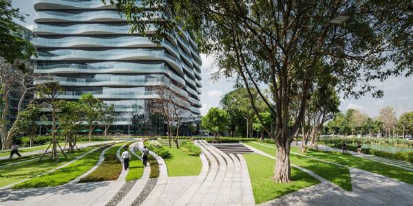 Approaching the new head office building, the combination of a preserved Banyan Tree and landscape form provides a complimentary setting for the new architecture. Image courtesy of Landscape Architects of Bangkok 