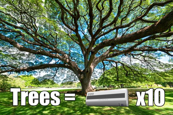 Trees increase value and save money; image credit: shutterstock.com, modification by SDR