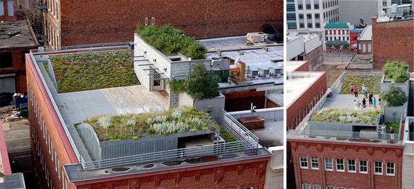 ASLA Green Roof. Image courtesy of Conservation Design Forum