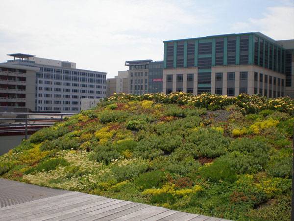 ASLA Green Roof. Image courtesy of Conservation Design Forum