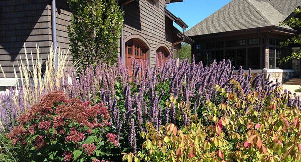 A community-based planting at a Wisconsin residence illustrates the exuberance that can be created through the mixture of color and texture in a small area. Image credit: Northwind Perennial Farm