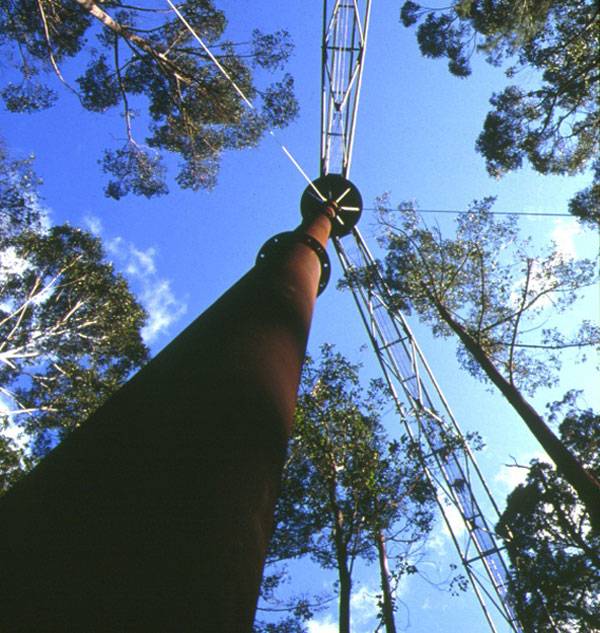 Valley of the Giants Tree Top Walk. Photo courtesy of Donaldson and Warn