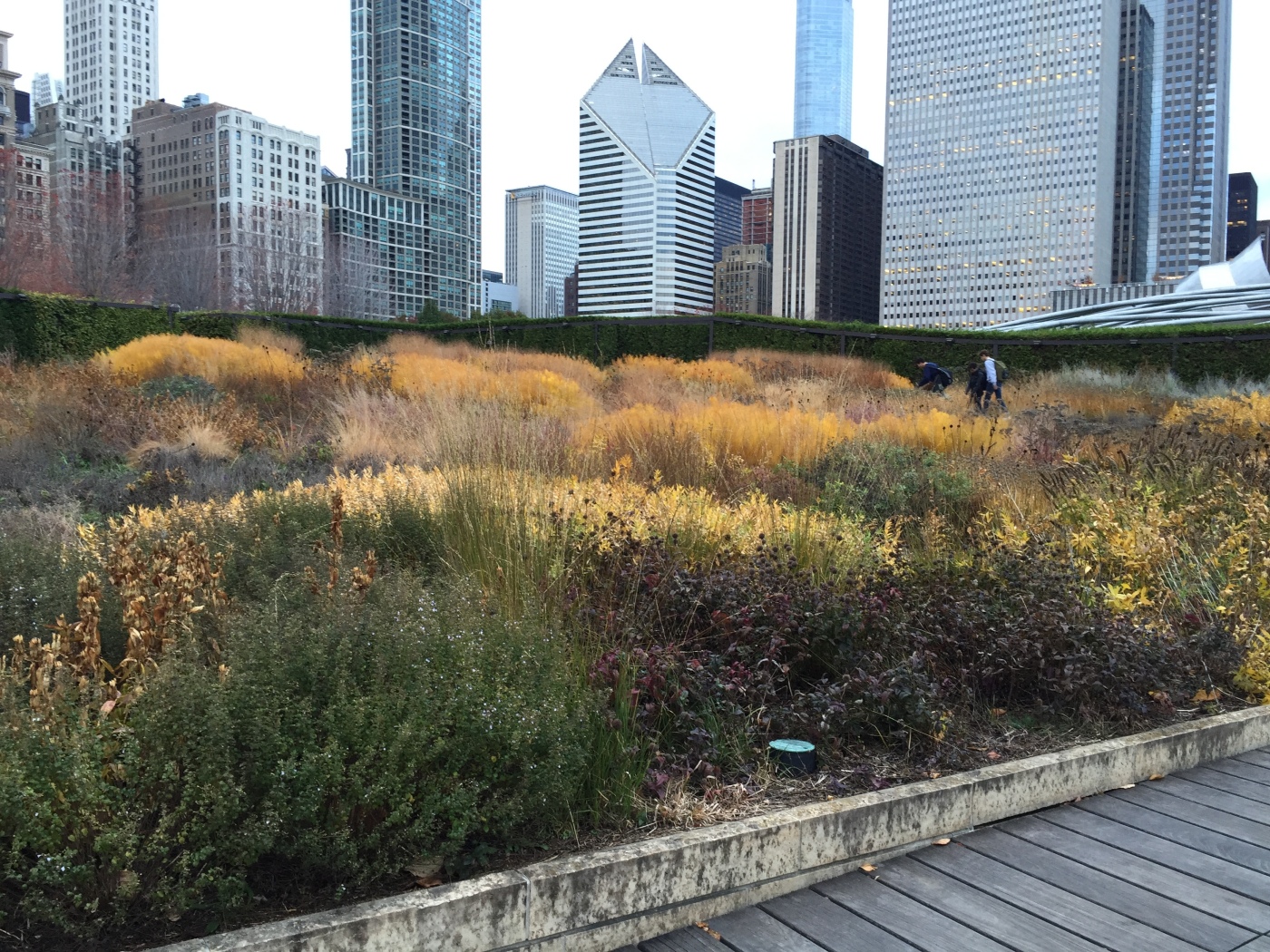 Empowering Landscape Architects, Benefits Of Being A Landscape Architect