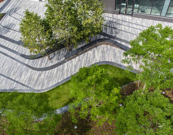 Pier 4 Plaza Encourages Connection With, Mikyoung Kim Landscape Architect