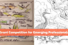 Grant Competition for Emerging Professionals