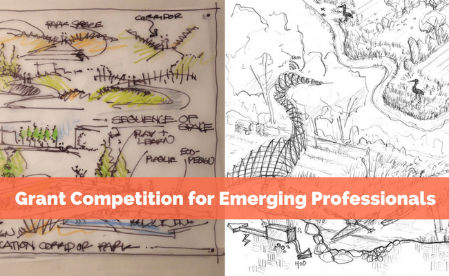 Grant Competition for Emerging Professionals