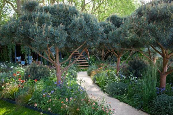 The Winton Beauty of Mathematics Garden, Photo courtesy of Nick Bailey