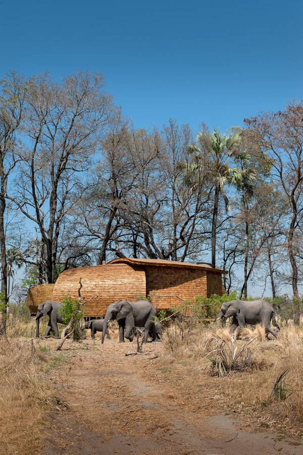 Sandibe Okavango Safari Lodge Photo credit: Dook